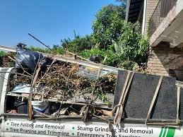 Retail Junk Removal in Centreville, MI